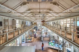 Merk X revitalizes Amsterdam Zoo natural history building that was closed for 75 years Merk X revitalizes Amsterdam Zoo natural history building that was closed for 75 years