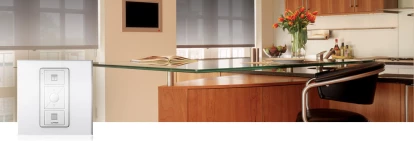 Lutron Electronics Co. Inc.