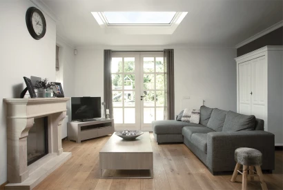 Flat roof window Type F