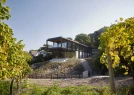 House in the Vineyards