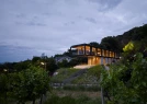 House in the Vineyards
