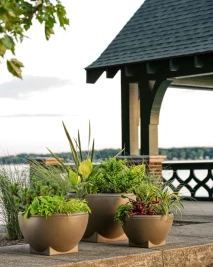 Rosa Planter