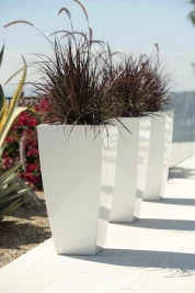 Sorella Planters