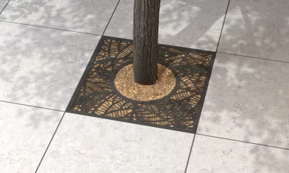 Piante