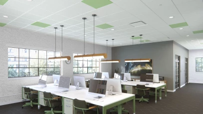 USG Danoline™ Lay-In Acoustical Perforated Gypsum Panels