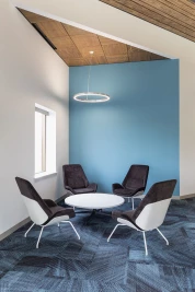 USG True™ Wood Renditions™ Panels