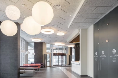 USG Heradesign™ Wood Wool Direct Mount Wall and Ceiling Panels