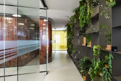Maria Farinha Filmes Head Office